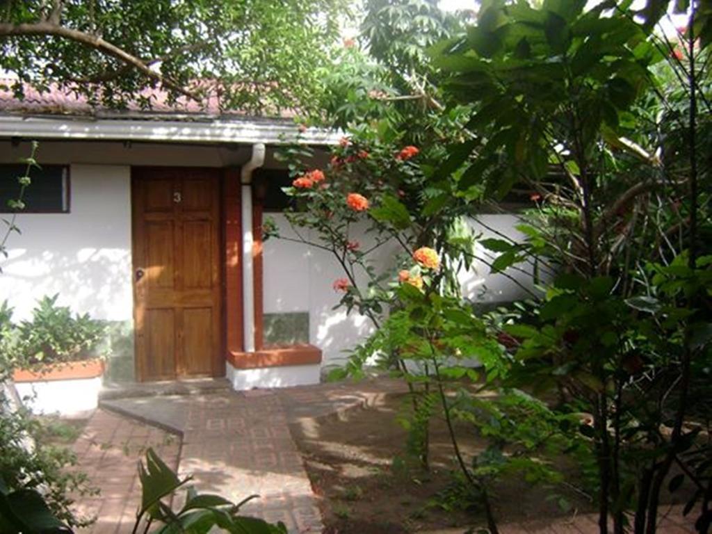 Hotel Jackie'S House Пунтаренас Екстериор снимка